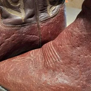 Tony Lama | Shoes | Tony Lama Mens Szd Elephant Cowboy Boots  display picture 1